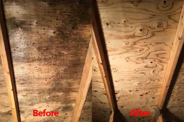 water damage restoration service Pleasant Run Farm